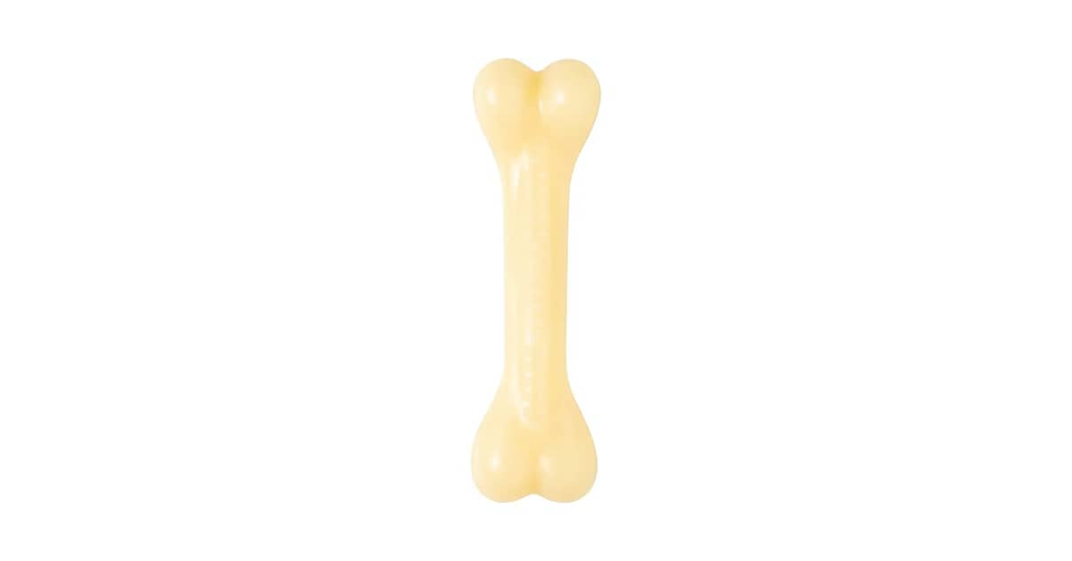 Qual Melhor Osso de Nylon? 10 Opções Resistentes