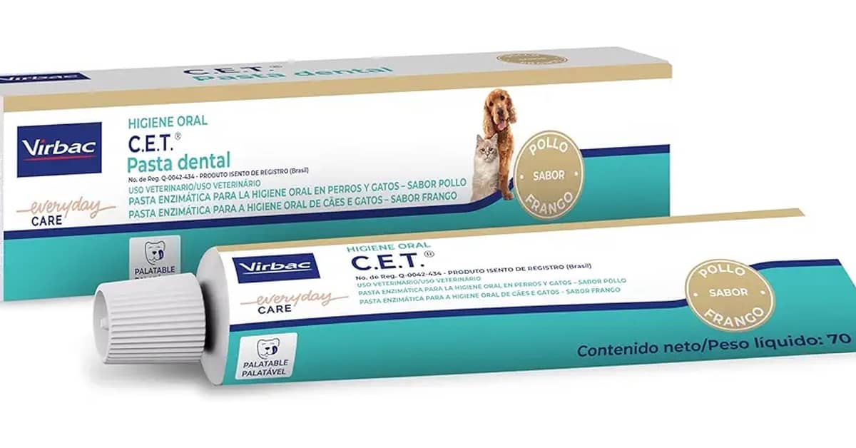 Qual Melhor Pasta de Dente Para Gato Contra o Tártaro?
