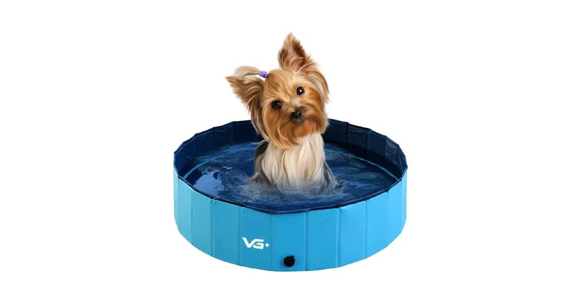 Qual Melhor Piscina Para Cachorro? 10 Modelos Top