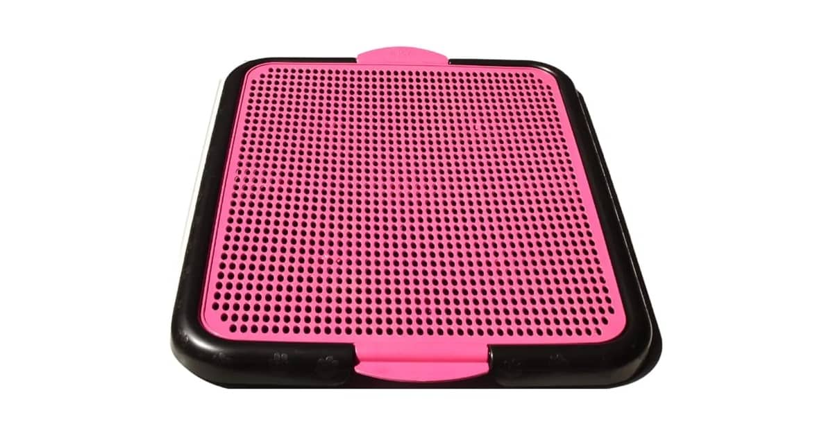 Qual Melhor Plano de Saude Para Cachorro? Como Escolher