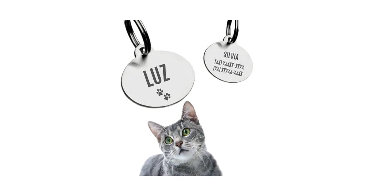 Qual Melhor Plaquinha de Identificação Para Pet? QR Code vs. Gravação