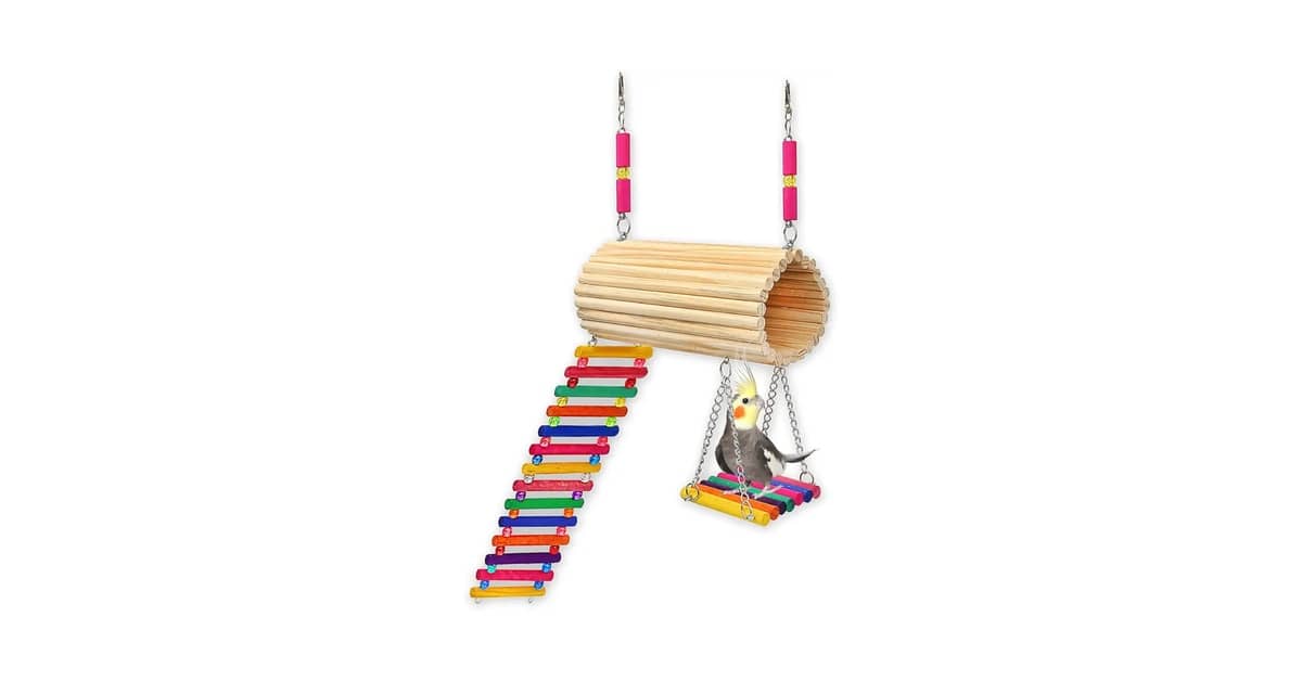 Qual Melhor Playground Para Calopsita: Análise de 7 Modelos