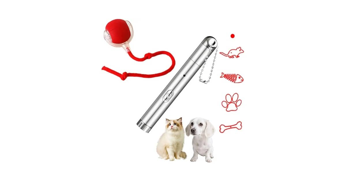 Qual Melhor Ponteiro de Laser Para Gato: Guia de Modelos