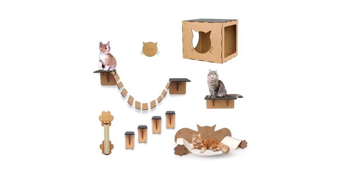Qual Melhor Prateleira Para Gatos Que Forma um Circuito: Guia de Kits