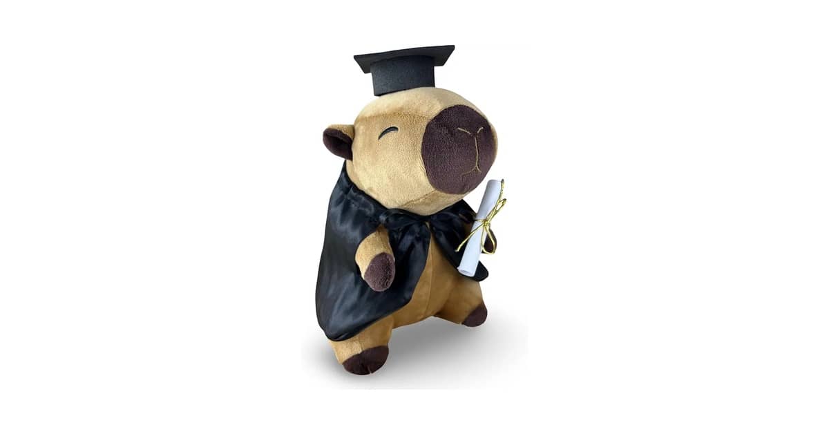 Qual Melhor Presente de Formatura Para Surpreender?
