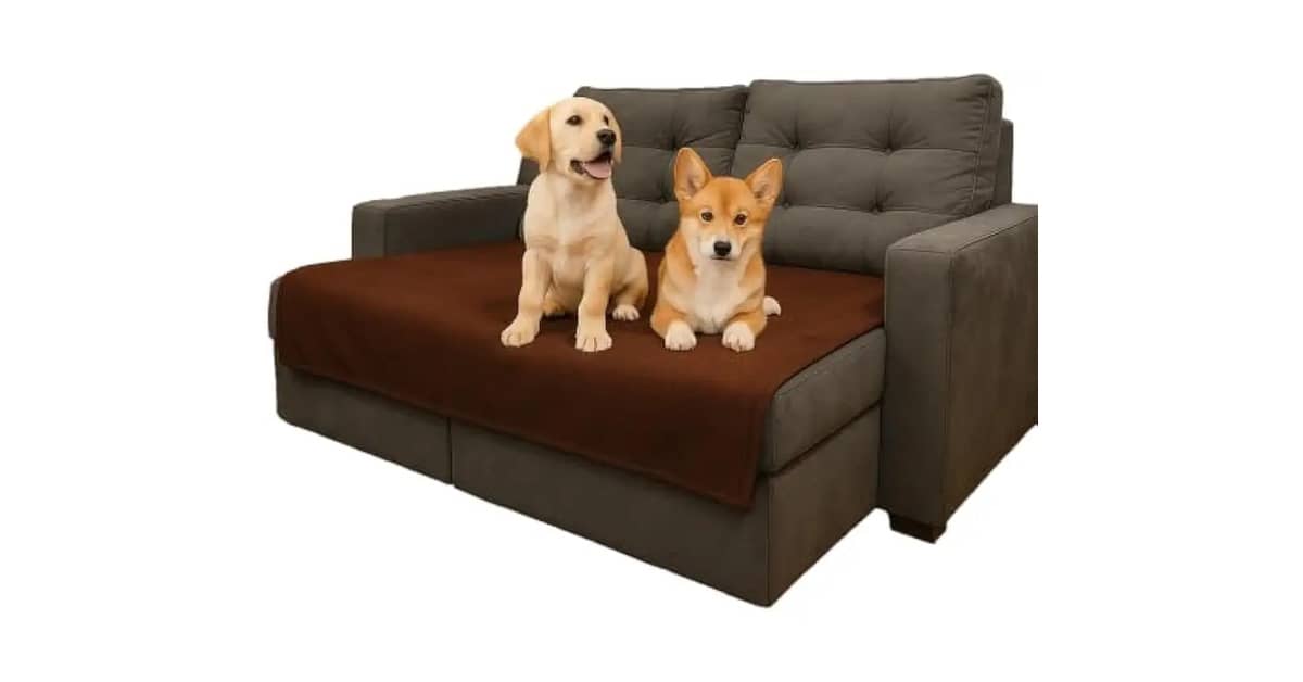 Qual Melhor Protetor de Sofá Para Quem Tem Animais de Estimação? 9 Modelos à Prova de Patas