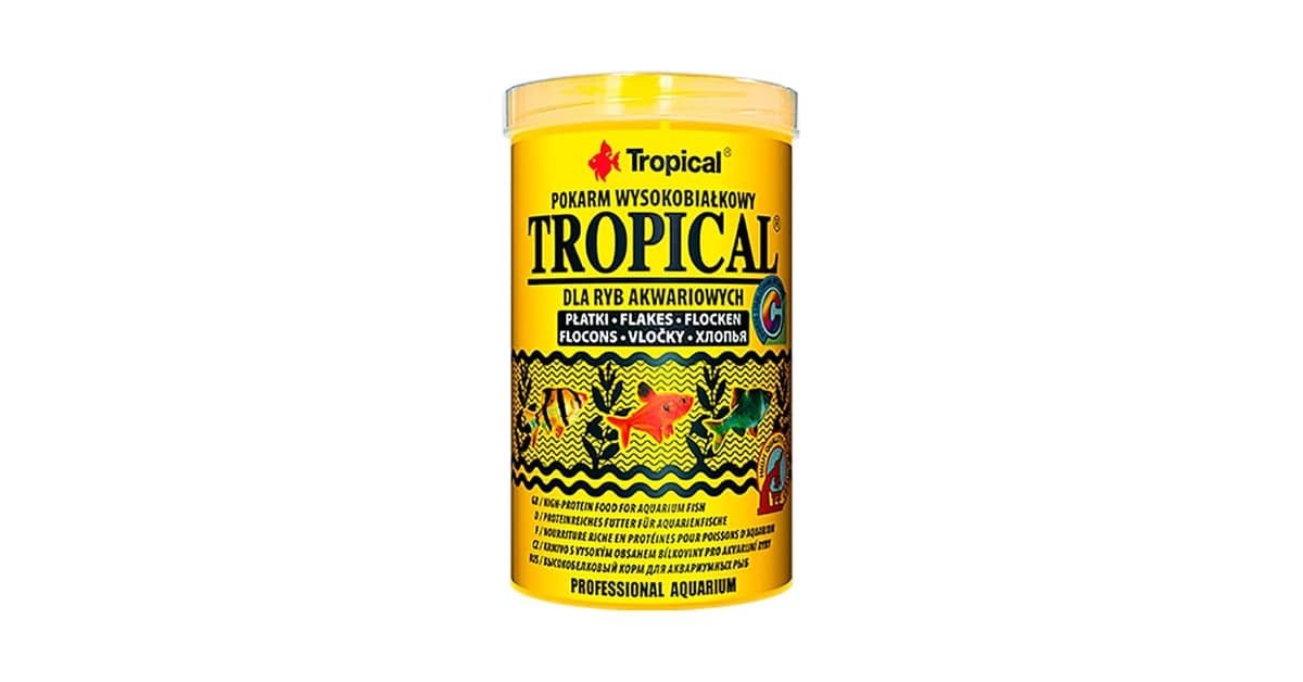 Qual Melhor Ração em Flocos Para Peixes Tropicais?