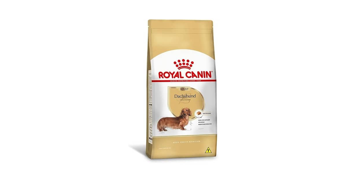 Qual Melhor Ração Para Cães da Raça Dachshund (Salsicha)? Nutrição Para a Coluna