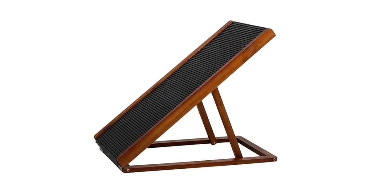 Qual Melhor Rampa de Acesso para Cachorro Idoso: 10 Modelos Seguros