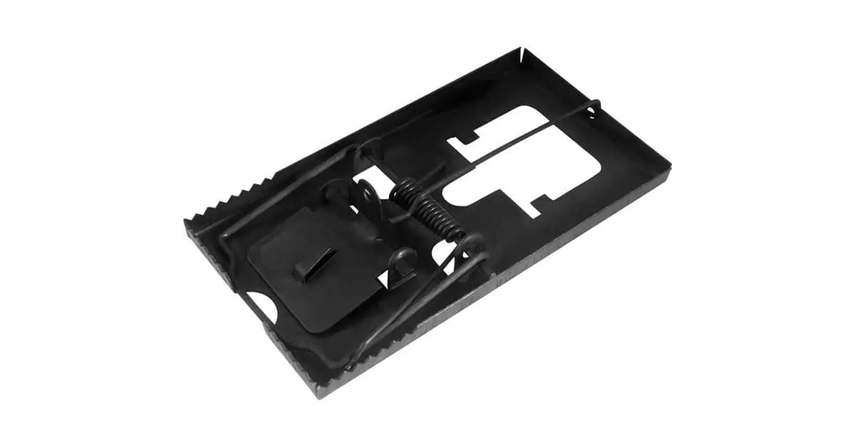 Qual Melhor Rato para Alimentar Cobra: O Guia Certo