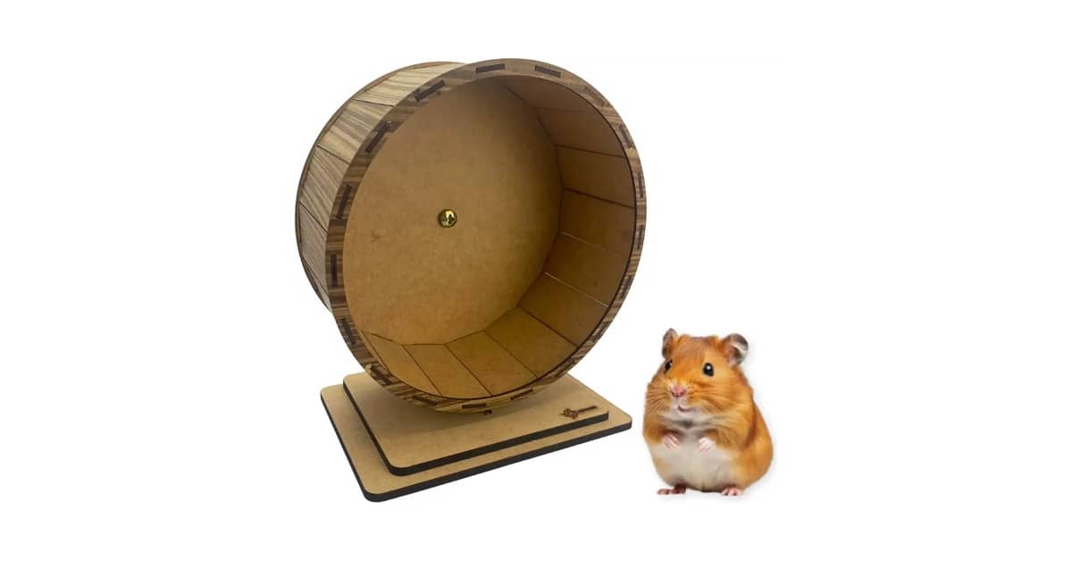 Qual Melhor Rodinha de Exercício Para Hamster? Guia