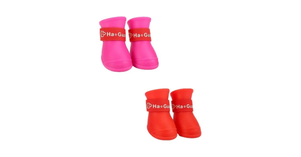 Qual Melhor Sapatinho Para Cachorro Para Proteger As Patas do Asfalto Quente e Frio