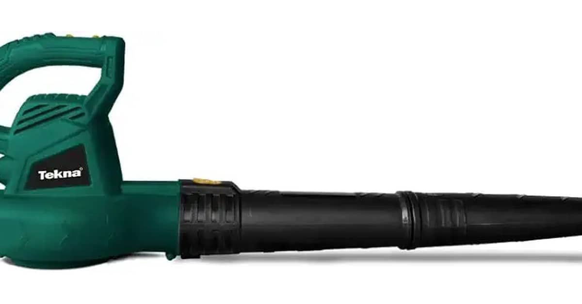 Qual Melhor Soprador de Folha: Gasolina ou Elétrico?