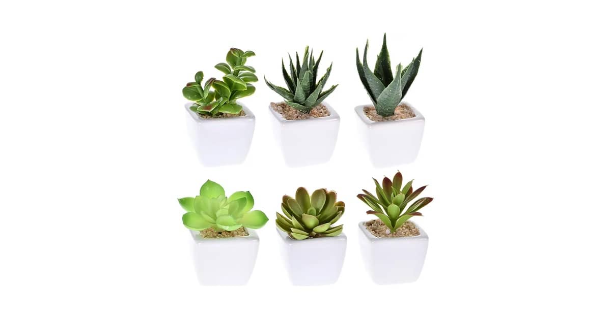 Qual Melhor Suculenta Artificial? 10 Modelos Realistas