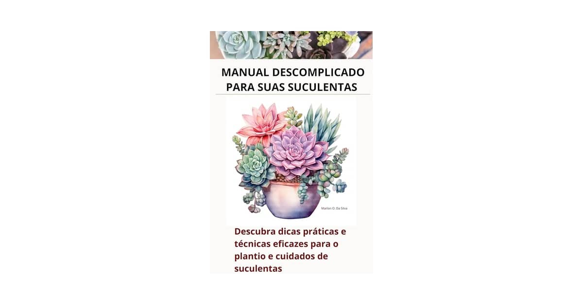 Qual Melhor Suculenta de Fácil Cuidado Para Iniciantes?