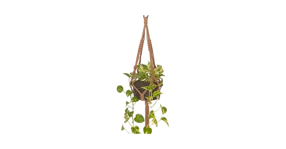 Qual Melhor Suporte de Plantas de Macramê? Guia com 10 Opções