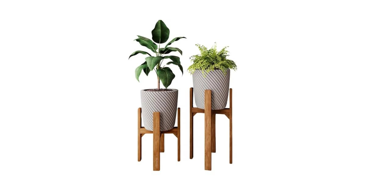 Qual Melhor Suporte Para Vasos de Plantas do Chão ao Teto