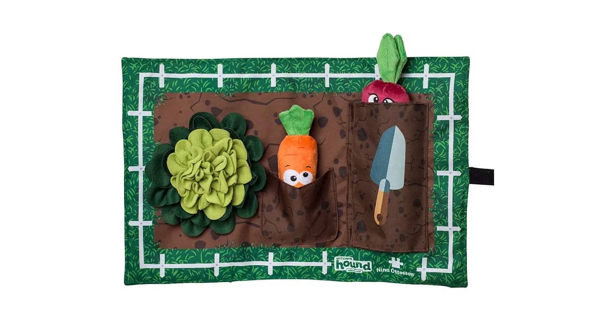 Qual Melhor Tapete de Atividades Para Filhote de Cachorro? Guia de Estímulos