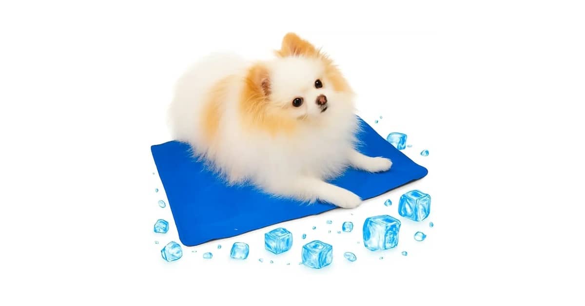 Qual Melhor Tapete Gelado Para Refrescar Pets no Verão? Análise de 10 Modelos