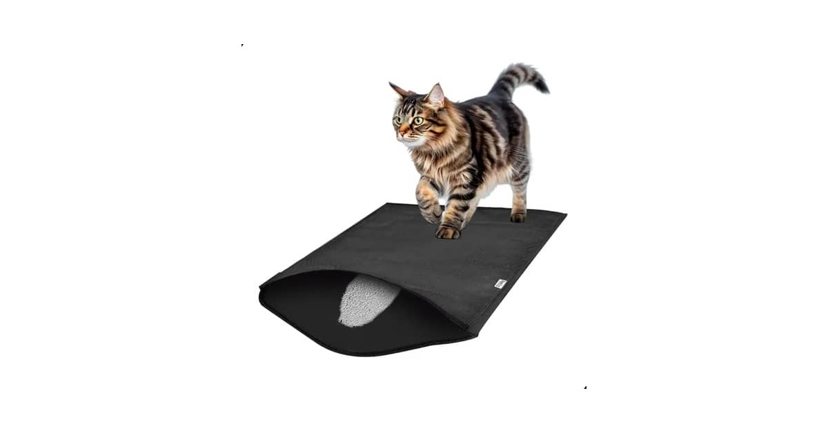 Qual Melhor Tapete Para Caixa de Areia de Gato?