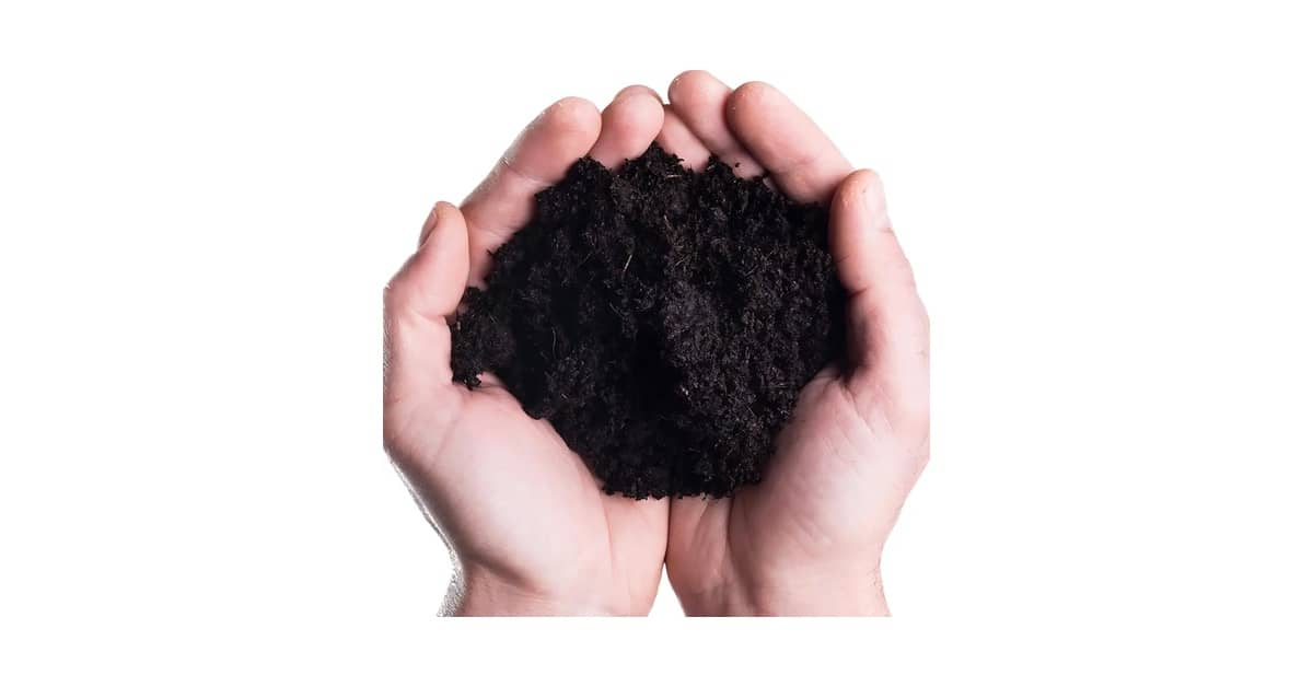 Qual Melhor Terra Para Plantio? Para Vasos e Hortas!