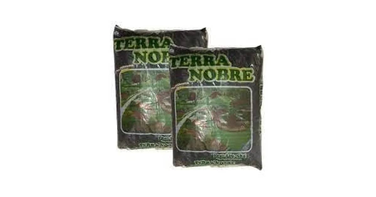 Qual Melhor Terra Vegetal Para Plantas Saudáveis?