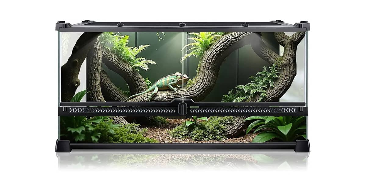 Qual Melhor Terrário Para Cobra: 6 Opções Top