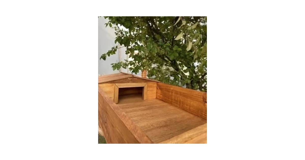 Qual Melhor Terrário para Jabuti: Guia de Compra