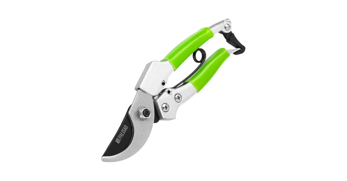 Qual Melhor Tesoura de Poda? Para Cortes Precisos