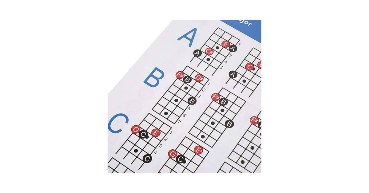 Qual Melhor Tipo de Baixo para Iniciantes: Guia Essencial