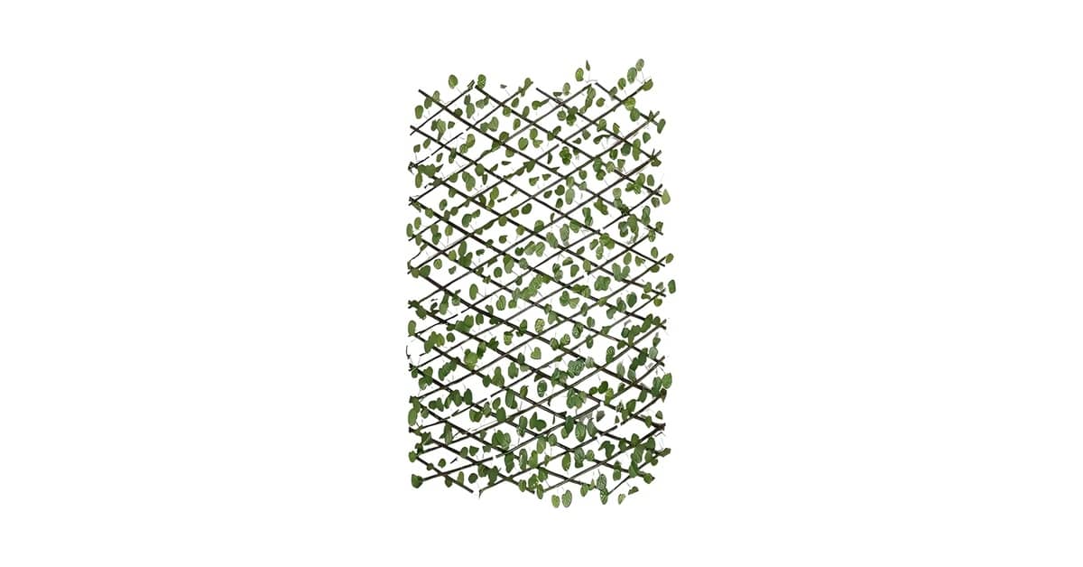 Qual Melhor Treliça Para Plantas Trepadeiras? Do Vaso à Parede