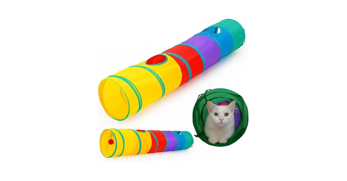 Qual Melhor Túnel Para Gato: Dos Retos Aos Labirintos