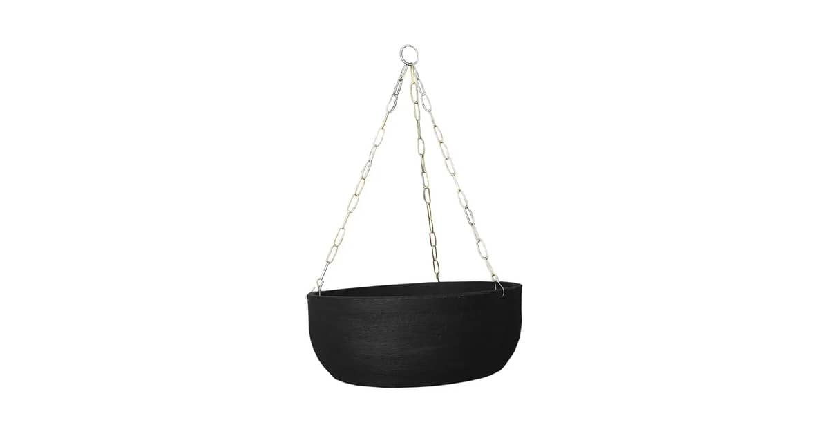 Qual Melhor Vaso Para Samambaia? Coco vs. Plástico