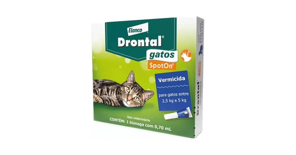 Qual Melhor Vermifugo para Gato: Pipeta ou Pílula?