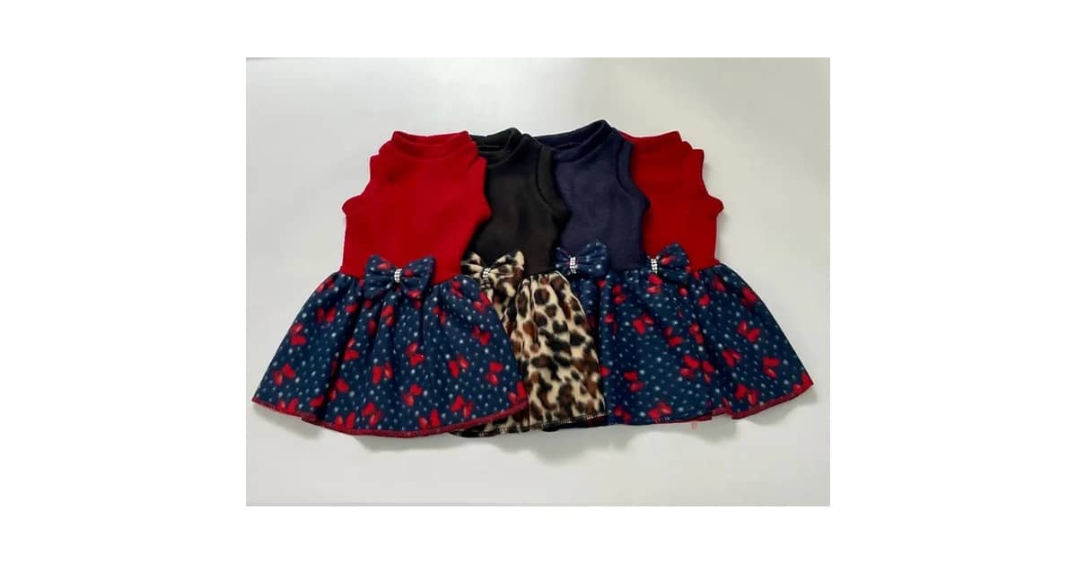 Qual Melhor Vestido Para Cadela: Do Passeio à Festa