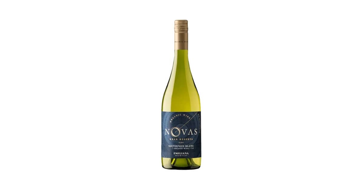 Qual Melhor Vinho Branco Sauvignon Blanc da Nova Zelândia?