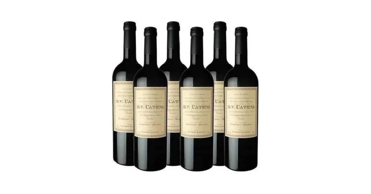 Qual Melhor Vinho Malbec ou Cabernet: Guia Definitivo