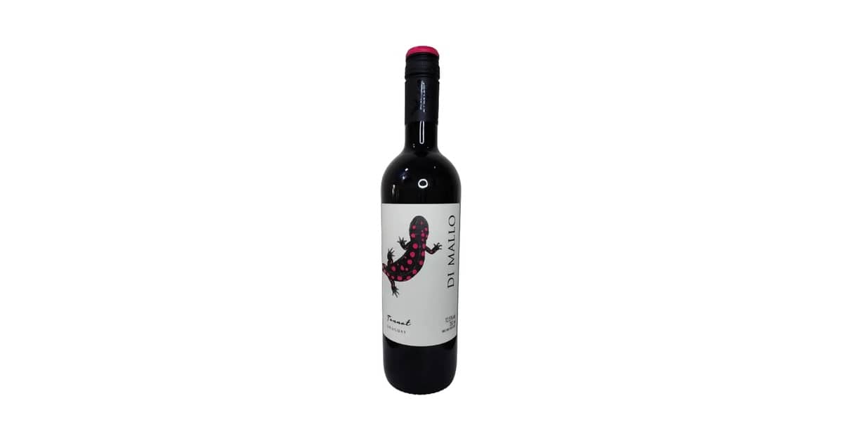 Qual Melhor Vinho Tannat Uruguaio? Jovem vs Reserva