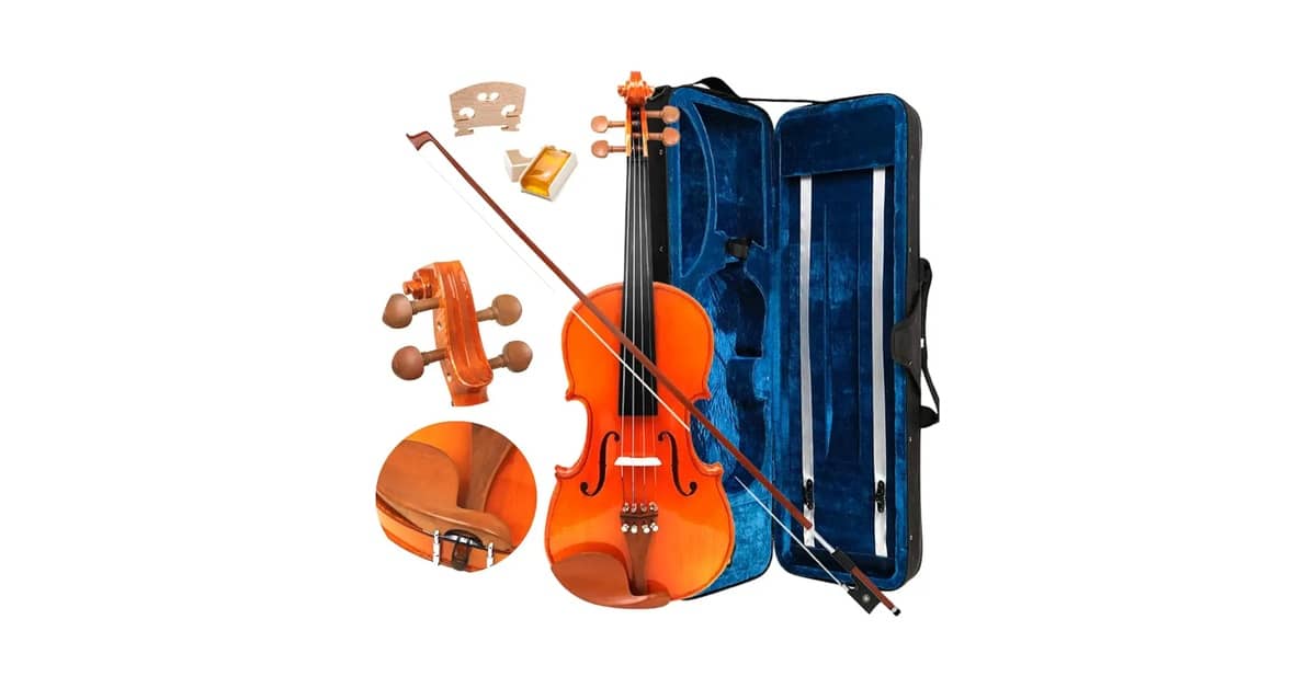 Qual Melhor Violino Barato e Bom Para Começar?
