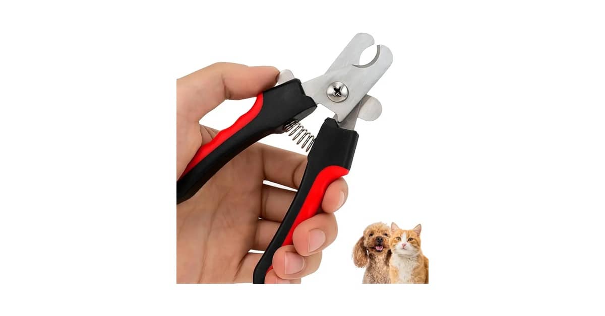 Qual o Melhor Alicate para Cortar Unha de Gato? Guia Essencial