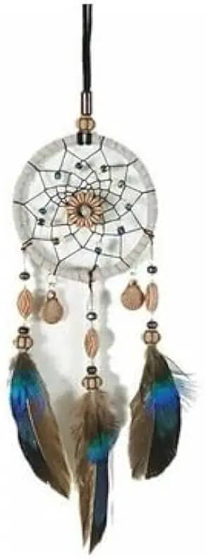 Filtro Dos Sonhos Pequeno Decoracao Casa Carro Penas Marrom