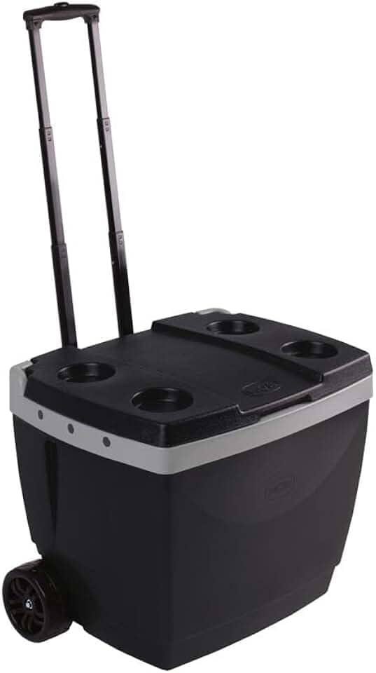 Mor - Caixa Térmica 42 Litros Preta