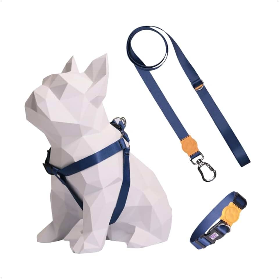 Kit Peitoral Americano Para Cachorro + Coleira + Guia De Passeio Ajustável (Azul Escuro/Laranja, PP)
