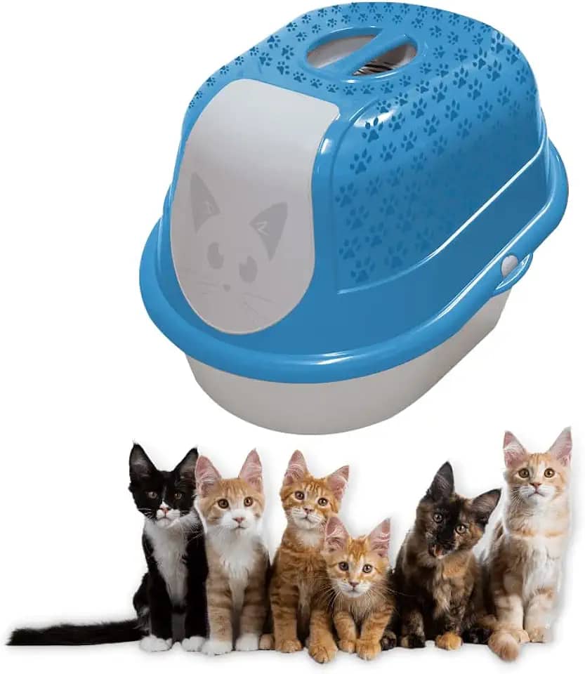 Furacão Pet Sanitário Fechado Para Gatos Cat Toalete - Azul