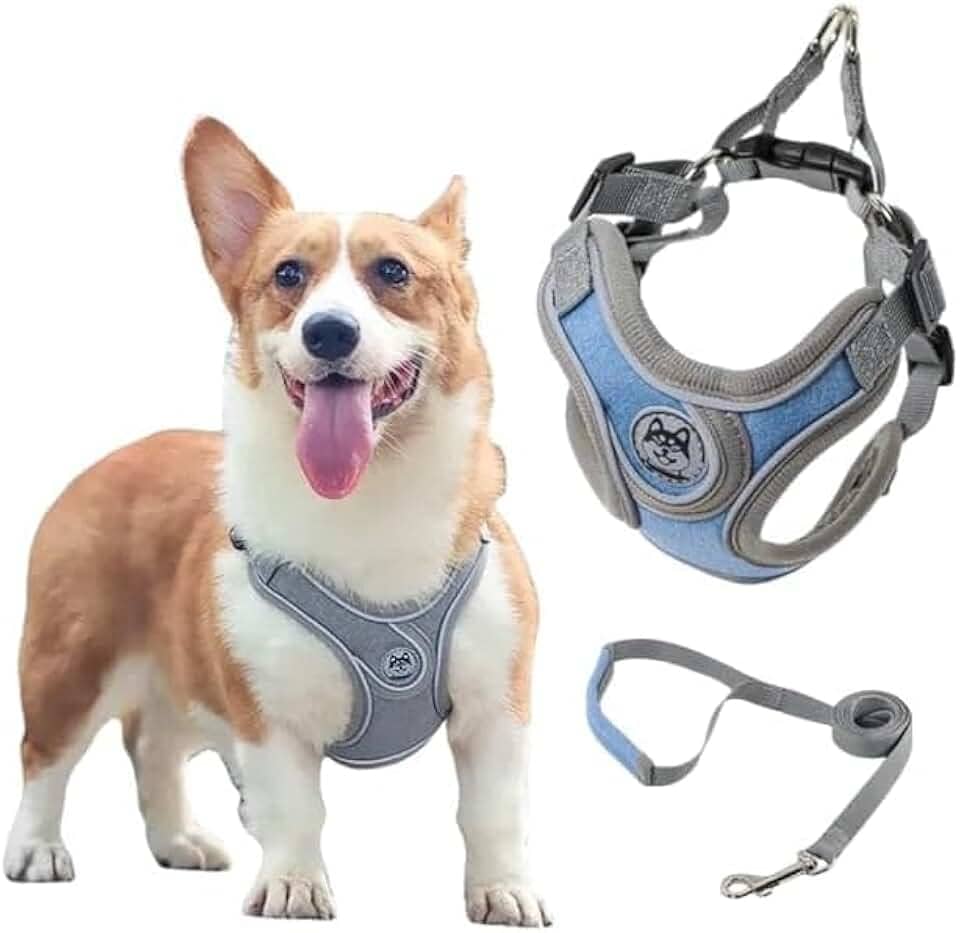 Coleira Peitoral para Cachorros Ajustável com Guia de Passeio (Azul, M)