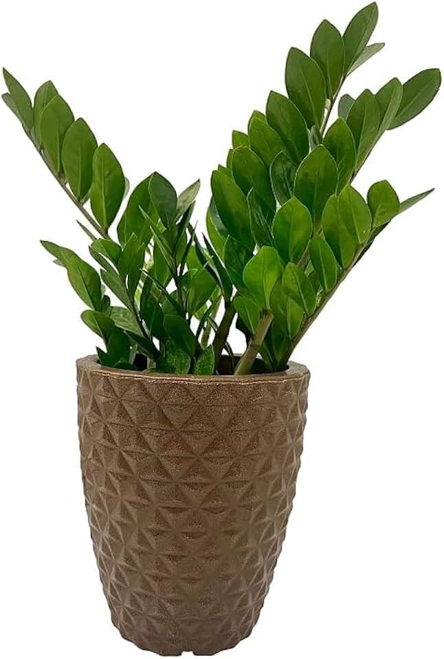VASO POLIETILENO COLUNA BERLIAN GOLD 3D DECORATIVO P/PLANTAS/JARDINS/ESCRITÓRIOS (MARROM)