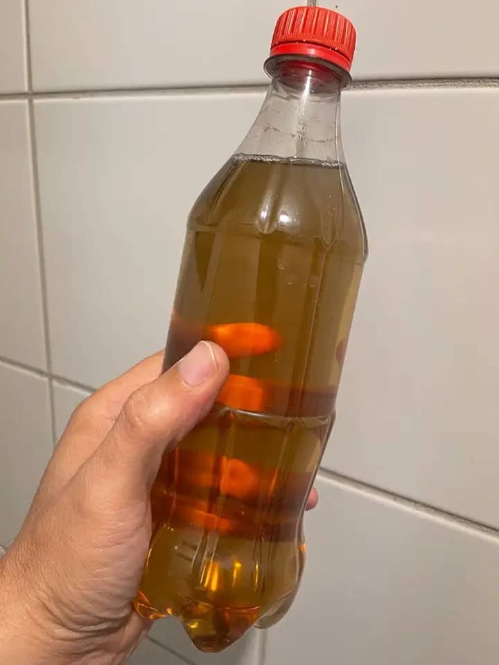 Fertilizante Sustentável Líquido a base de Humus de minhoca