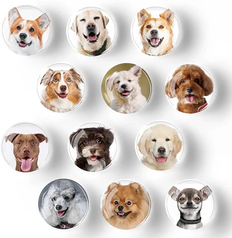 Ímãs de geladeira seguros para arranhões (12 peças) com retenção confiável, imãs de geladeira de vidro decorativos multiuso para quadro branco, armário, escritório e cozinha, ideal para exibições de