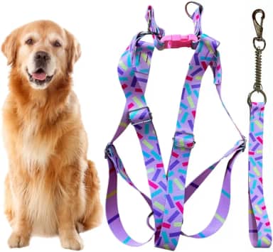 Coleira Peitoral Americano para Cachorro Médio e Grande com Guia Anti Puxão - Pitbull, Golden, Labrador, Rottweiler, Fila, Pastor Alemão, Doberman, Toni Corso (Confetes)