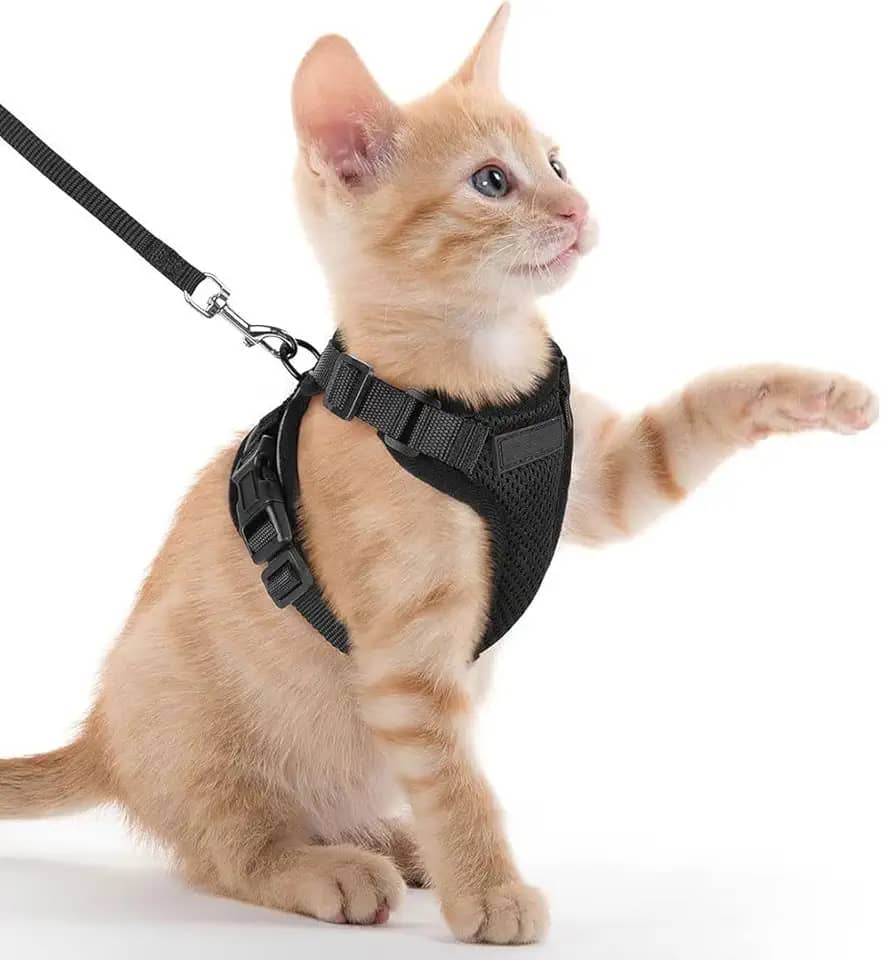Peitoral e coleira para gatos para caminhar, à prova de fuga, seguro, ajustável, colete para caminhar, jaqueta macia e confortável com tiras refletivas para gatos, preto